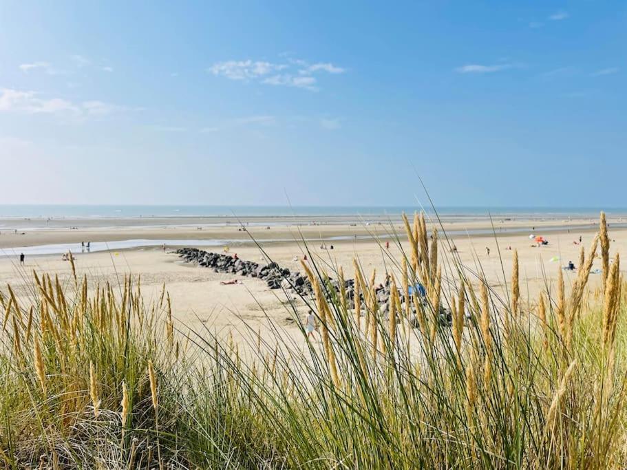 Appartement Merlidunes Proche De La Plage Merlimont-Plage Exteriér fotografie